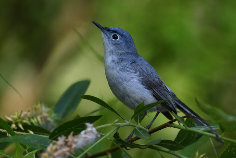 D51_1202.jpg