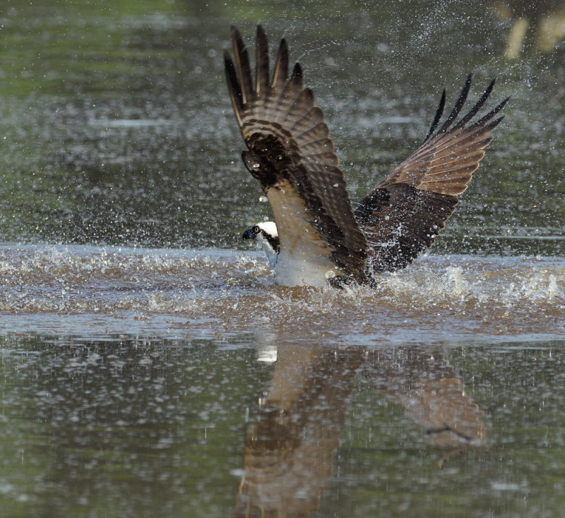 D51_2602.jpg
