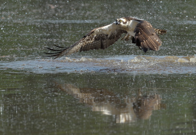 D51_2611.jpg