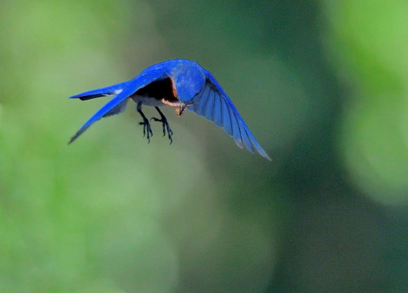 D51_3097.jpg