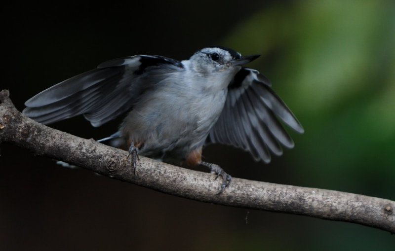 D51_4095.jpg