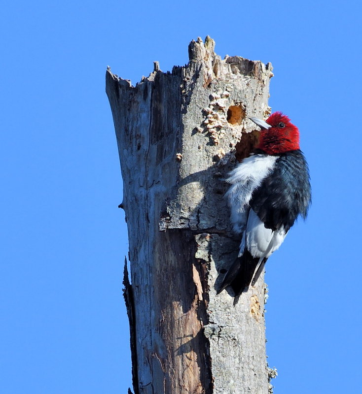 D51_4918.jpg