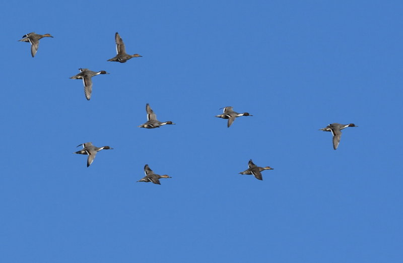 D51_4968.jpg