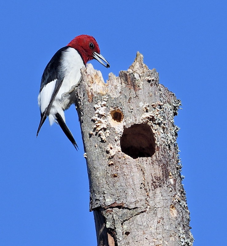 D51_5079.jpg
