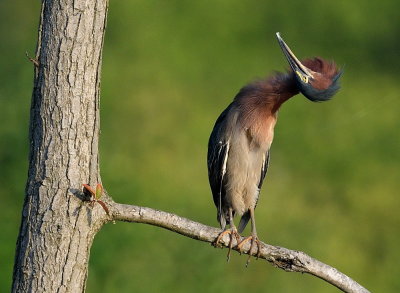D50_5793.jpg
