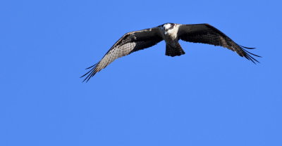 D50_6754.jpg