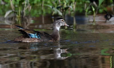 D50_6924.jpg