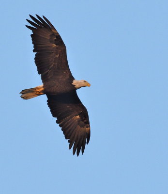 D50_7143.jpg