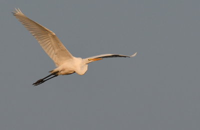 D50_7215.jpg