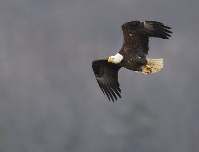 D50_9633.jpg