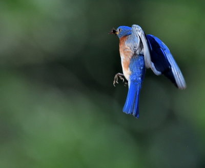 D51_3283.jpg