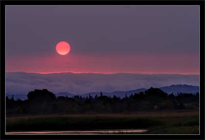 Pink & Purple Haze Sunset