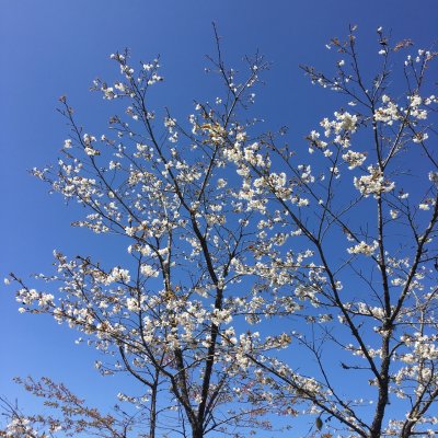g10/90/360890/3/167318553.ujlLTGG0.jpg