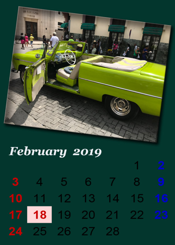 David February 2019.jpg