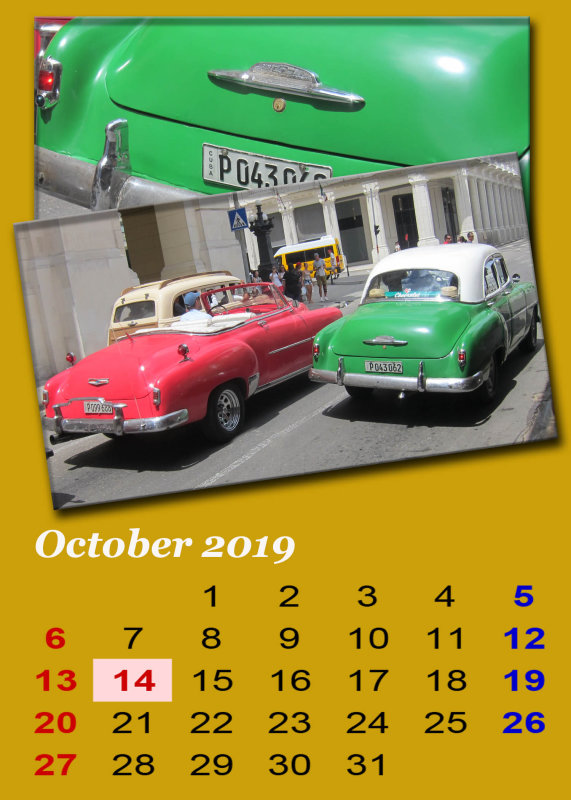 David_October_2019.jpg