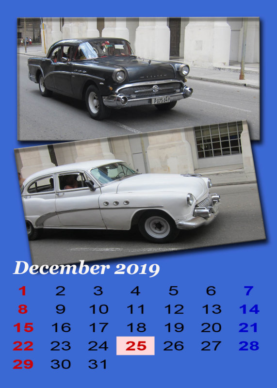 David_December_2019.jpg