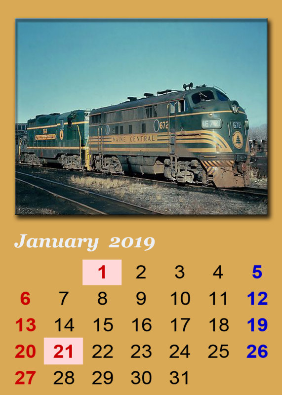 Teddy's 2019 Calendar