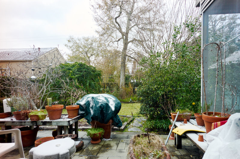 backyard ice blizzard of 2018