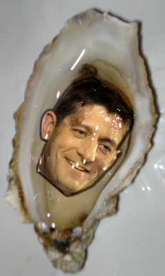 Paul Ryan Oyster
