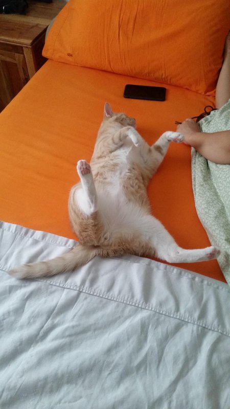 20170828_140642.jpg