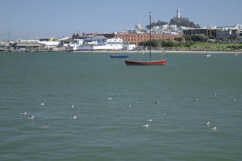 Aquatic Park Cove