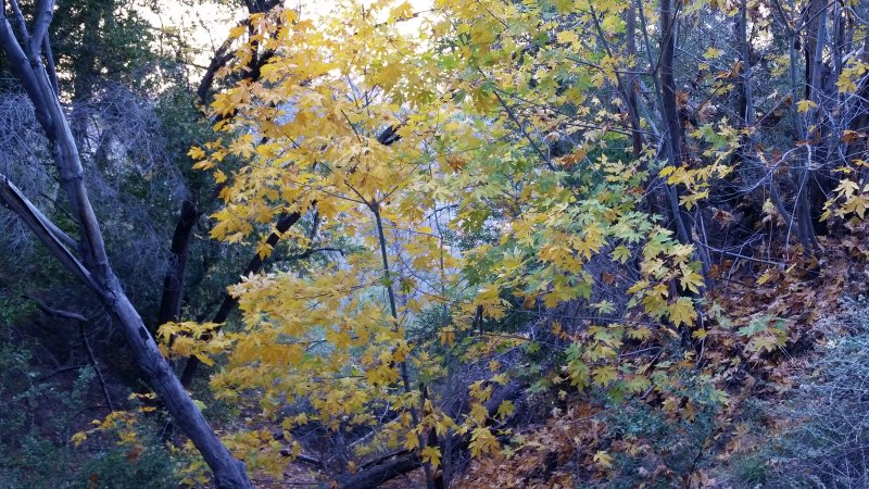 20181208_144405.jpg