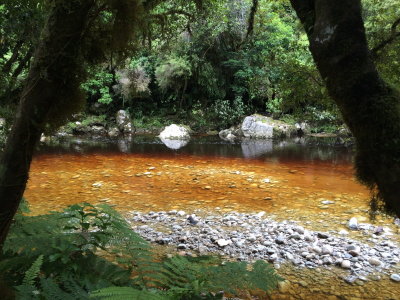 170122 Karamea 20 pic Jean Reynolds.jpg