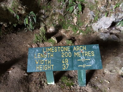 170122 Karamea 23 pic Jean Reynolds.jpg