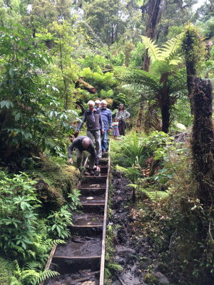 170122 Karamea 234pic Jean Reynolds.jpg