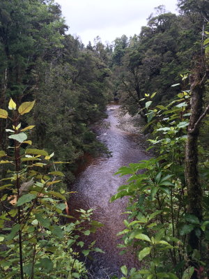 170122 Karamea 25 pic Jean Reynolds.jpg