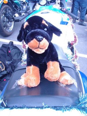 171125 Nelson Toy Run 05.jpg