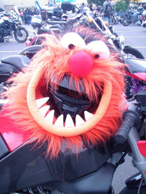 171125 Nelson Toy Run 29.jpg