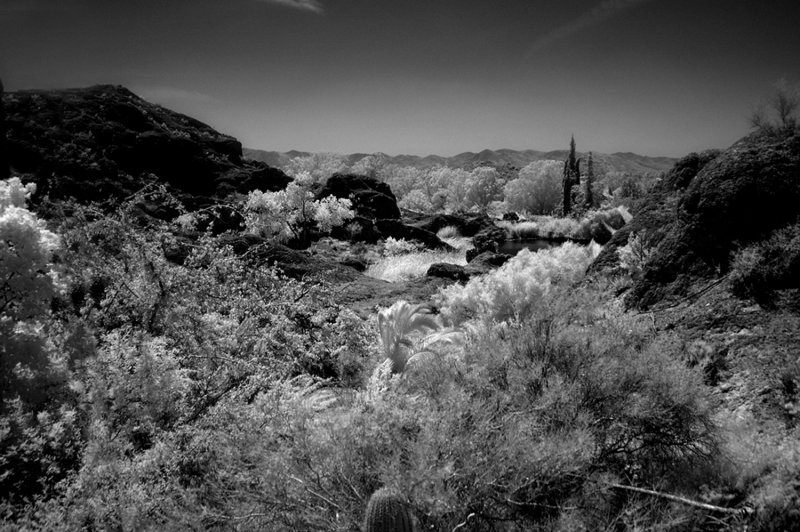 The Arizona Desert