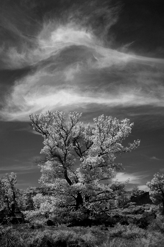 Along the Way Craters of the Moon