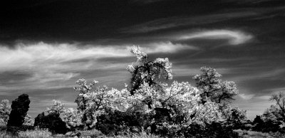 Craters of the Moon in Idaho