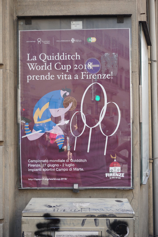 Quidich World Cup