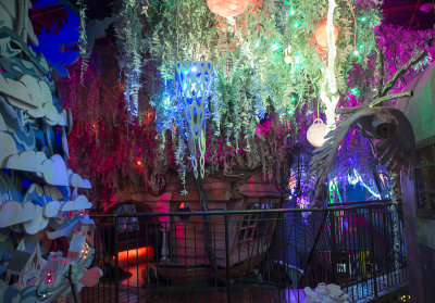 Meow Wolf