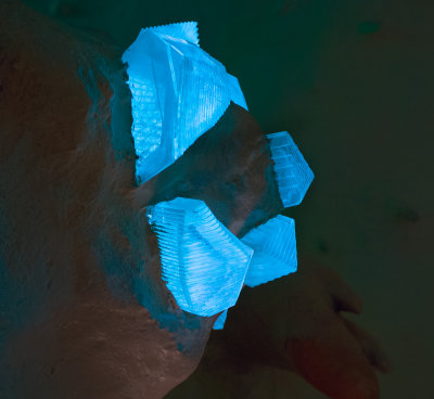 PC182311 Meow Wolf Crystal Close-up.jpg
