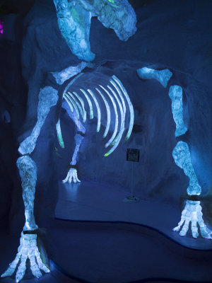 Meow Wolf Musical Crystal Mastodon
