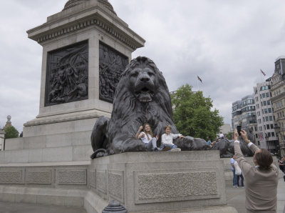  Trafalgar Square Lions
