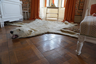 Schloss Drachenburg. Polar Bear Carpet