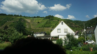 head Hillside Vineyards