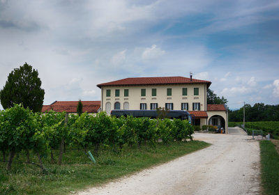 Tour Bus, Prosecco Vineyard