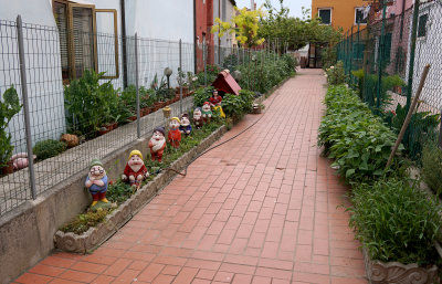 Snow White And Seven Dwarves, Burano