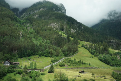 Alpine Pastures