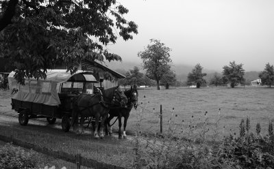 Horse Carriage