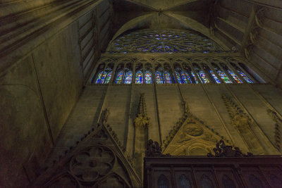 Notre Dame Wall and Ceiling