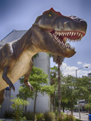 T Rex, Jacksonville Science Museum