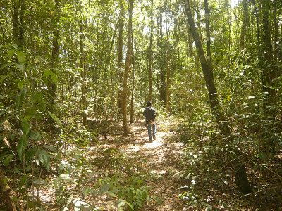 Forest trail at Cat Tien