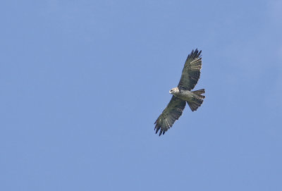 g10/90/590590/3/166401678.a9AizE12.jpg